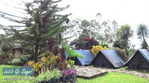 Alomah's Place in Bukidnon