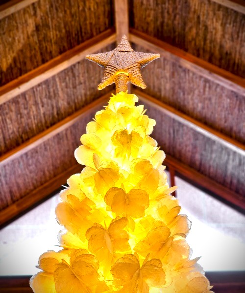 Manami Hotel Holiday Rates